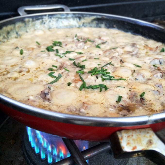 Garlic sauteed mushrooms with fresh sage and ground elk
